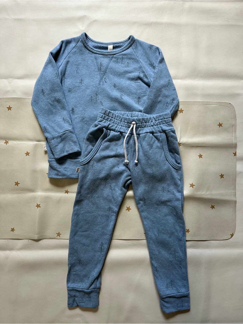 4t Childhoods Clothing Blue Ski Trees Crewneck & Jogger pants set